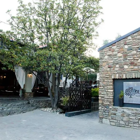 Olive Grove Guesthouse-2
