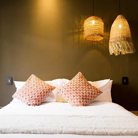 Olive Grove Guesthouse-3